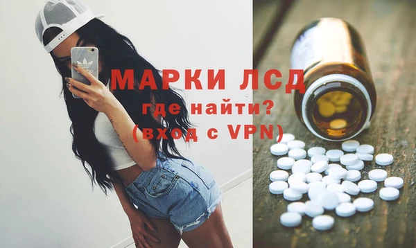прущие грибы Абдулино