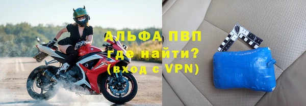 прущие грибы Абдулино