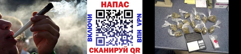 Канабис семена Терек